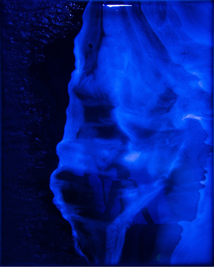 Bioluminescence